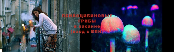ГАЛЛЮЦИНОГЕННЫЕ ГРИБЫ Каменногорск