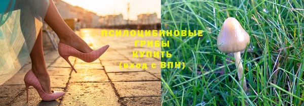 кокаин Каменка