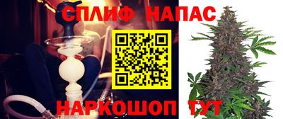 ECSTASY Кинель